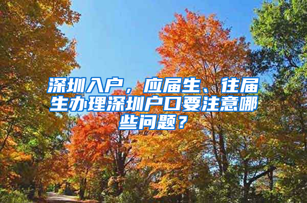 深圳入戶，應(yīng)屆生、往屆生辦理深圳戶口要注意哪些問題？