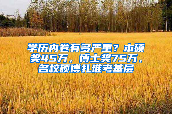 學歷內(nèi)卷有多嚴重？本碩獎45萬，博士獎75萬，名校碩博扎堆考基層