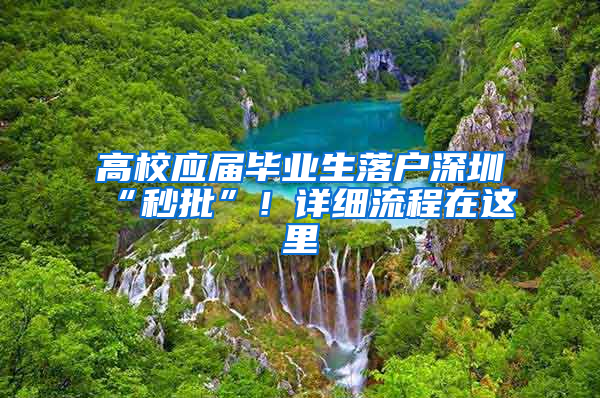 高校應(yīng)屆畢業(yè)生落戶深圳“秒批”！詳細(xì)流程在這里