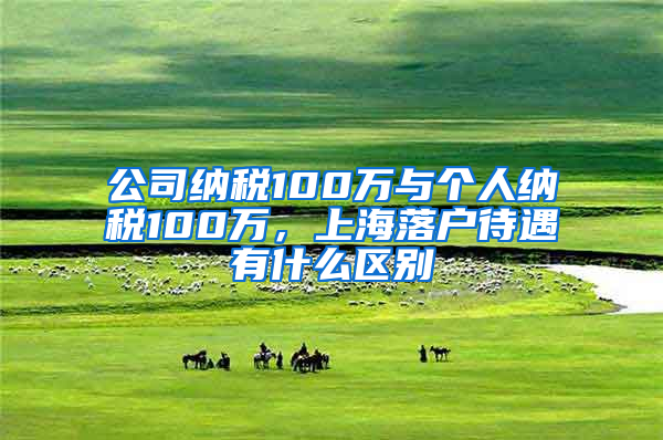 公司納稅100萬與個(gè)人納稅100萬，上海落戶待遇有什么區(qū)別