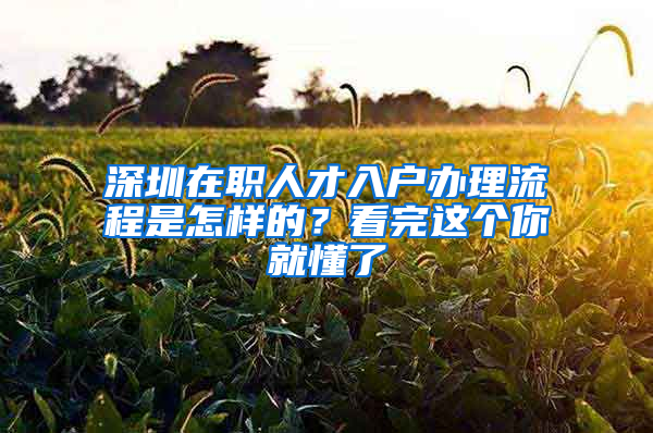 深圳在職人才入戶辦理流程是怎樣的？看完這個你就懂了