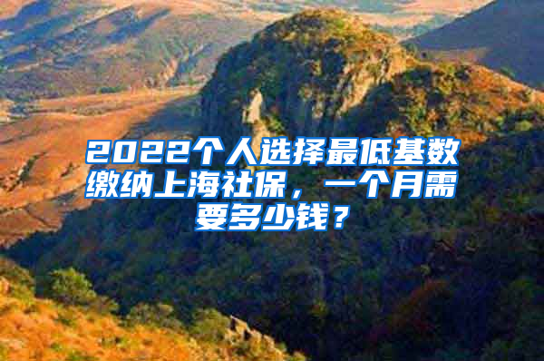 2022個(gè)人選擇最低基數(shù)繳納上海社保，一個(gè)月需要多少錢(qián)？