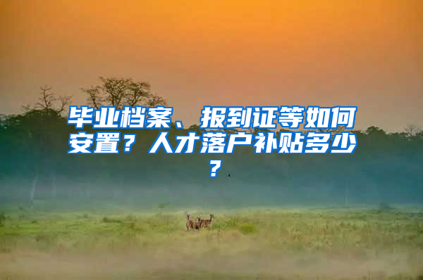 畢業(yè)檔案、報(bào)到證等如何安置？人才落戶補(bǔ)貼多少？