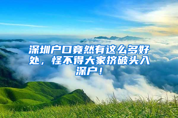 深圳戶口竟然有這么多好處，怪不得大家擠破頭入深戶！