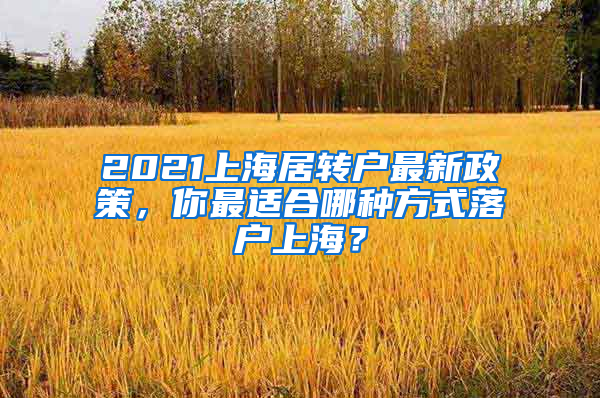 2021上海居轉(zhuǎn)戶最新政策，你最適合哪種方式落戶上海？