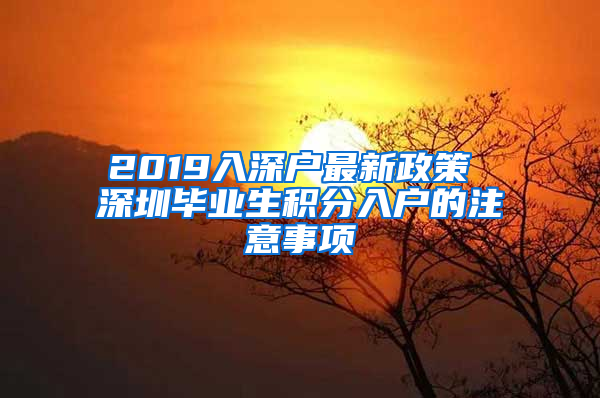 2019入深戶(hù)最新政策 深圳畢業(yè)生積分入戶(hù)的注意事項(xiàng)