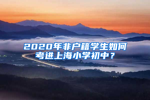 2020年非戶籍學(xué)生如何考進(jìn)上海小學(xué)初中？