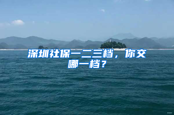 深圳社保一二三檔，你交哪一檔？