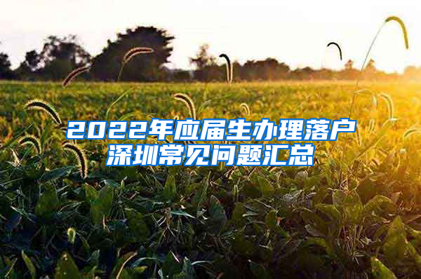 2022年應屆生辦理落戶深圳常見問題匯總