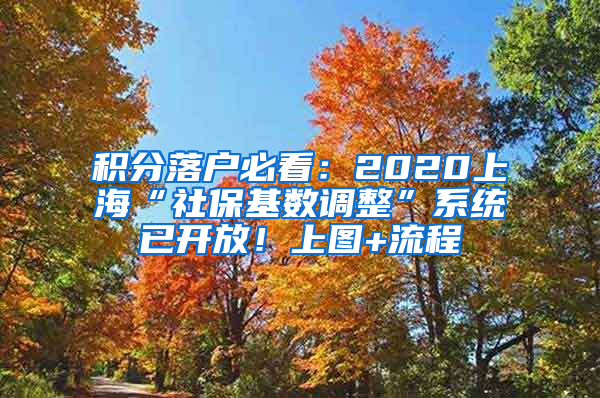 積分落戶必看：2020上海“社?；鶖?shù)調(diào)整”系統(tǒng)已開放！上圖+流程