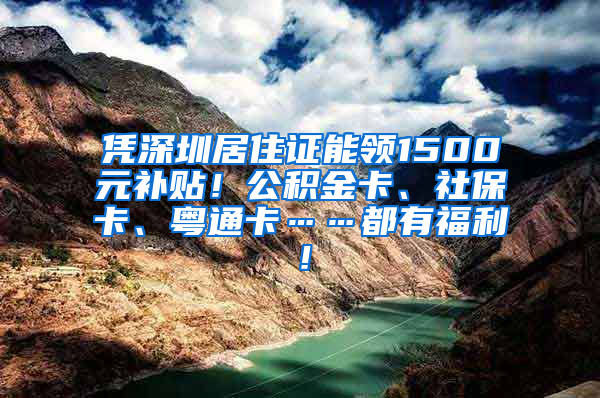 憑深圳居住證能領(lǐng)1500元補(bǔ)貼！公積金卡、社保卡、粵通卡……都有福利！