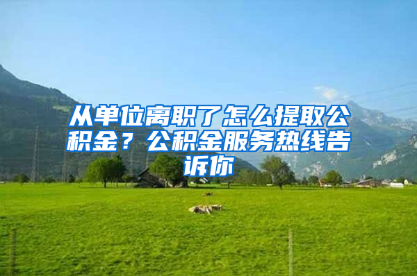 從單位離職了怎么提取公積金？公積金服務(wù)熱線告訴你