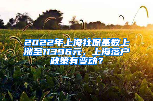 2022年上海社?；鶖?shù)上漲至11396元，上海落戶政策有變動？