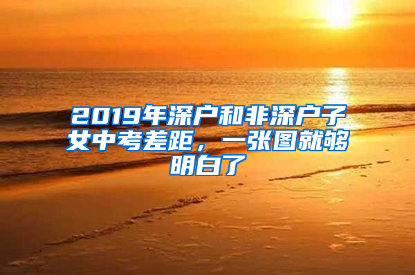 2019年深戶和非深戶子女中考差距，一張圖就夠明白了