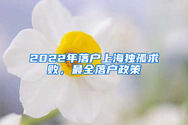 2022年落戶上海獨(dú)孤求敗，最全落戶政策