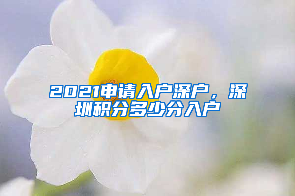 2021申請入戶深戶，深圳積分多少分入戶