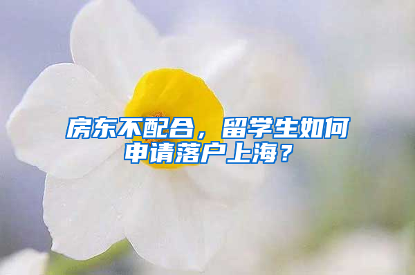 房東不配合，留學(xué)生如何申請落戶上海？