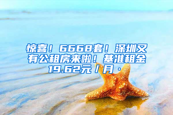 驚喜！6668套！深圳又有公租房來啦！基準(zhǔn)租金19.62元／月·㎡