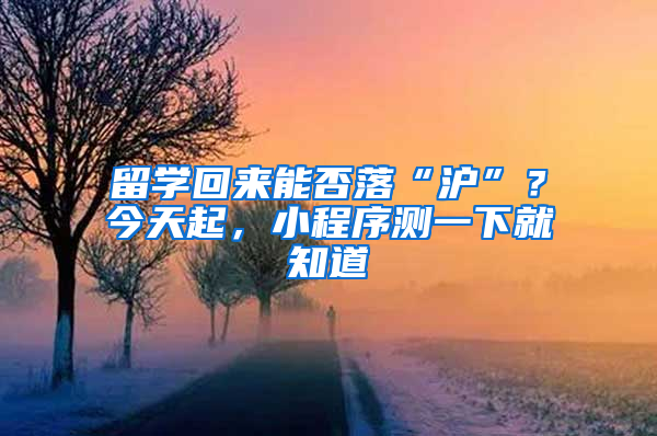 留學(xué)回來(lái)能否落“滬”？今天起，小程序測(cè)一下就知道