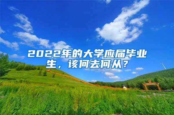 2022年的大學應(yīng)屆畢業(yè)生，該何去何從？