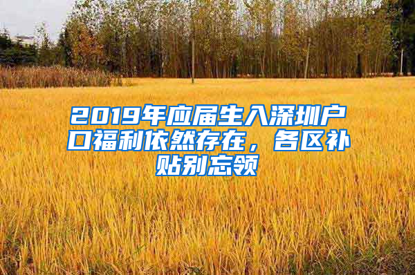 2019年應(yīng)屆生入深圳戶口福利依然存在，各區(qū)補(bǔ)貼別忘領(lǐng)