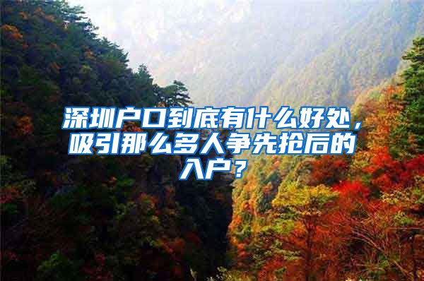 深圳戶口到底有什么好處，吸引那么多人爭先搶后的入戶？