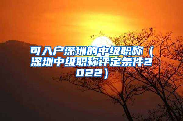 可入戶(hù)深圳的中級(jí)職稱(chēng)（深圳中級(jí)職稱(chēng)評(píng)定條件2022）