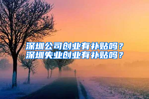 深圳公司創(chuàng)業(yè)有補(bǔ)貼嗎？深圳失業(yè)創(chuàng)業(yè)有補(bǔ)貼嗎？