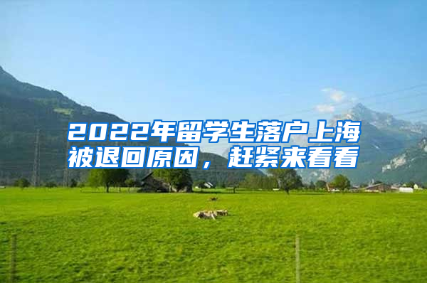 2022年留學生落戶上海被退回原因，趕緊來看看