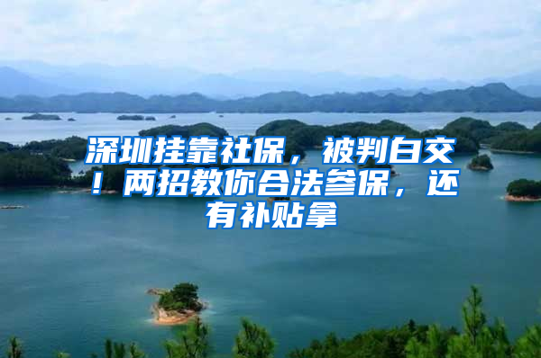 深圳掛靠社保，被判白交！兩招教你合法參保，還有補(bǔ)貼拿