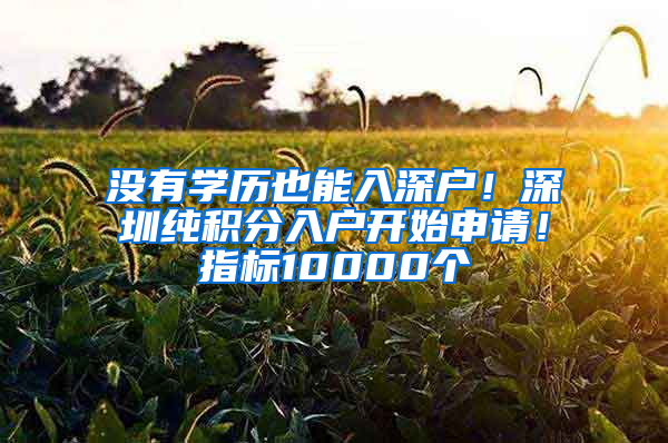 沒有學(xué)歷也能入深戶！深圳純積分入戶開始申請！指標(biāo)10000個