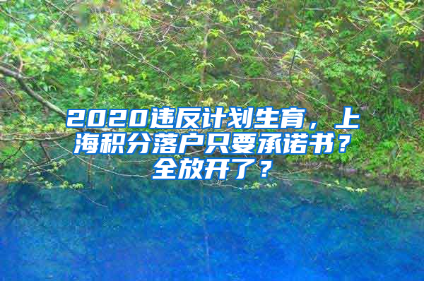 2020違反計(jì)劃生育，上海積分落戶只要承諾書？全放開了？