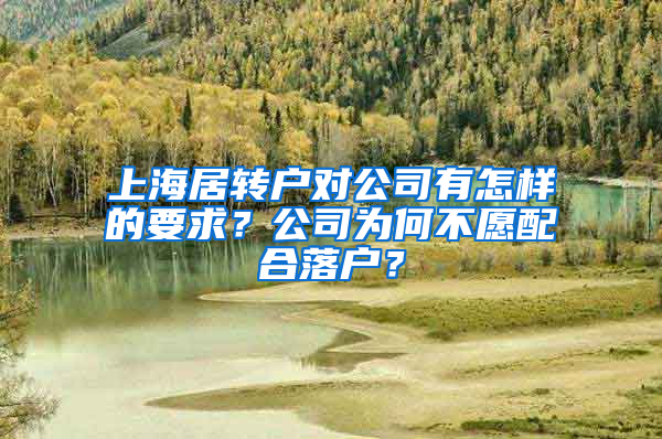 上海居轉(zhuǎn)戶對(duì)公司有怎樣的要求？公司為何不愿配合落戶？