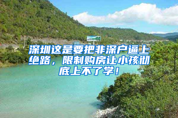 深圳這是要把非深戶逼上絕路，限制購(gòu)房讓小孩徹底上不了學(xué)！