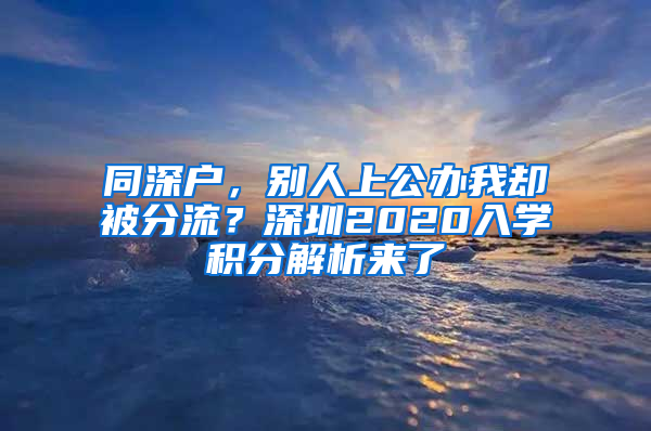 同深戶，別人上公辦我卻被分流？深圳2020入學積分解析來了