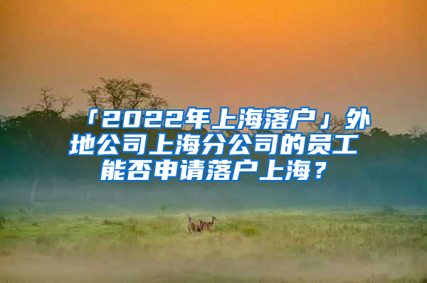 「2022年上海落戶」外地公司上海分公司的員工能否申請落戶上海？