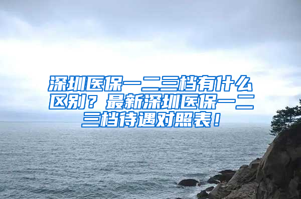 深圳醫(yī)保一二三檔有什么區(qū)別？最新深圳醫(yī)保一二三檔待遇對(duì)照表！