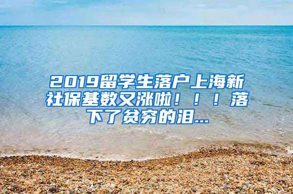 2019留學生落戶上海新社保基數(shù)又漲啦?。?！落下了貧窮的淚...