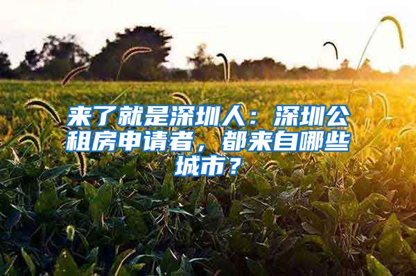 來了就是深圳人：深圳公租房申請者，都來自哪些城市？