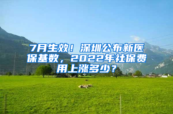 7月生效！深圳公布新醫(yī)保基數(shù)，2022年社保費(fèi)用上漲多少？