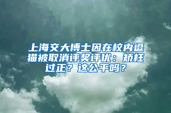 上海交大博士因在校內(nèi)逗貓被取消評獎評優(yōu)：矯枉過正？這公平嗎？