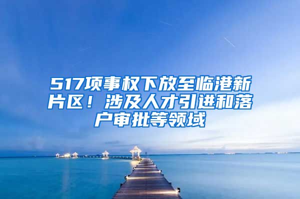 517項事權下放至臨港新片區(qū)！涉及人才引進和落戶審批等領域