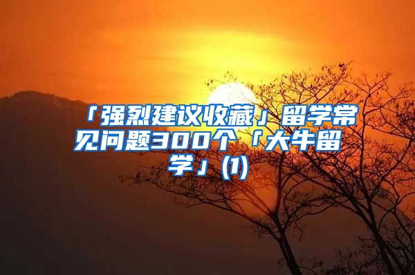 「強(qiáng)烈建議收藏」留學(xué)常見問題300個「大牛留學(xué)」(1)