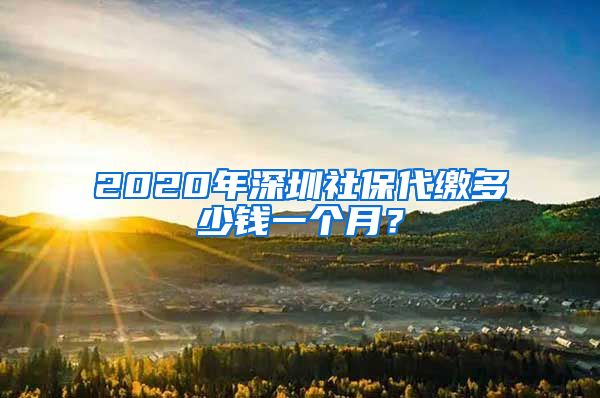 2020年深圳社保代繳多少錢一個月？