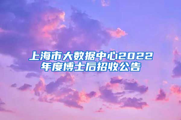 上海市大數據中心2022年度博士后招收公告