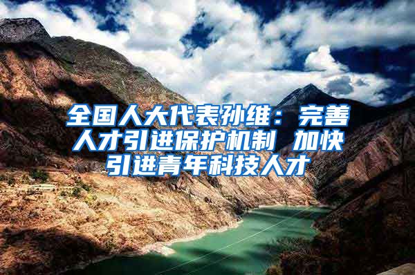 全國人大代表孫維：完善人才引進(jìn)保護(hù)機(jī)制 加快引進(jìn)青年科技人才