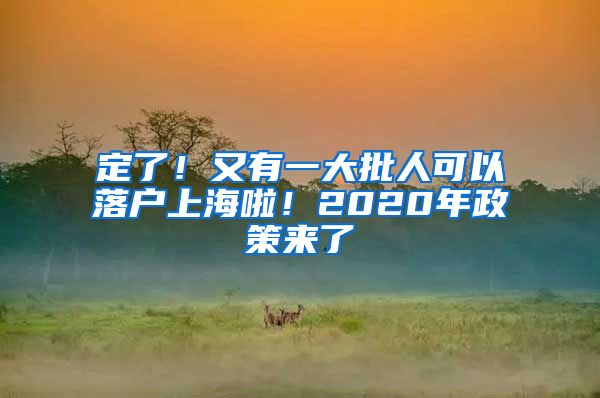 定了！又有一大批人可以落戶上海啦！2020年政策來(lái)了