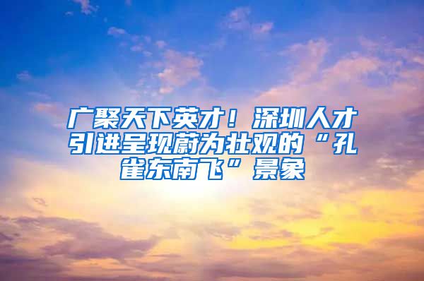 廣聚天下英才！深圳人才引進(jìn)呈現(xiàn)蔚為壯觀的“孔雀東南飛”景象