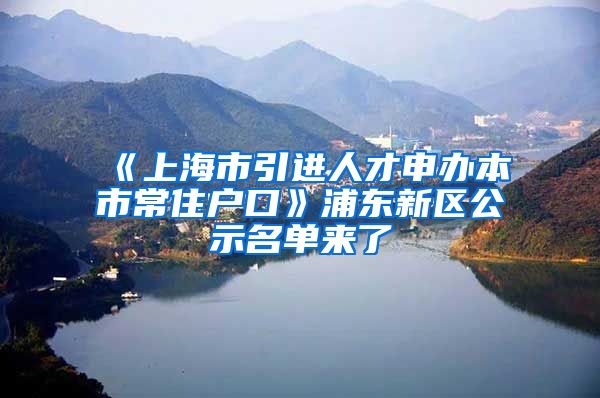 《上海市引進(jìn)人才申辦本市常住戶口》浦東新區(qū)公示名單來了