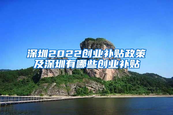 深圳2022創(chuàng)業(yè)補(bǔ)貼政策及深圳有哪些創(chuàng)業(yè)補(bǔ)貼